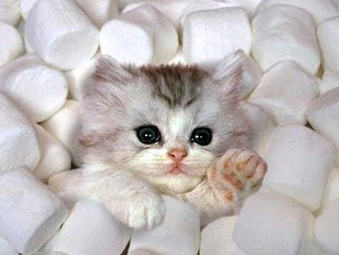 Hello World!